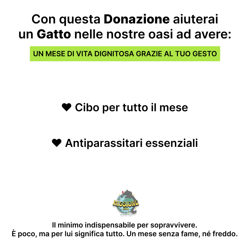 Donazione Card | 30€