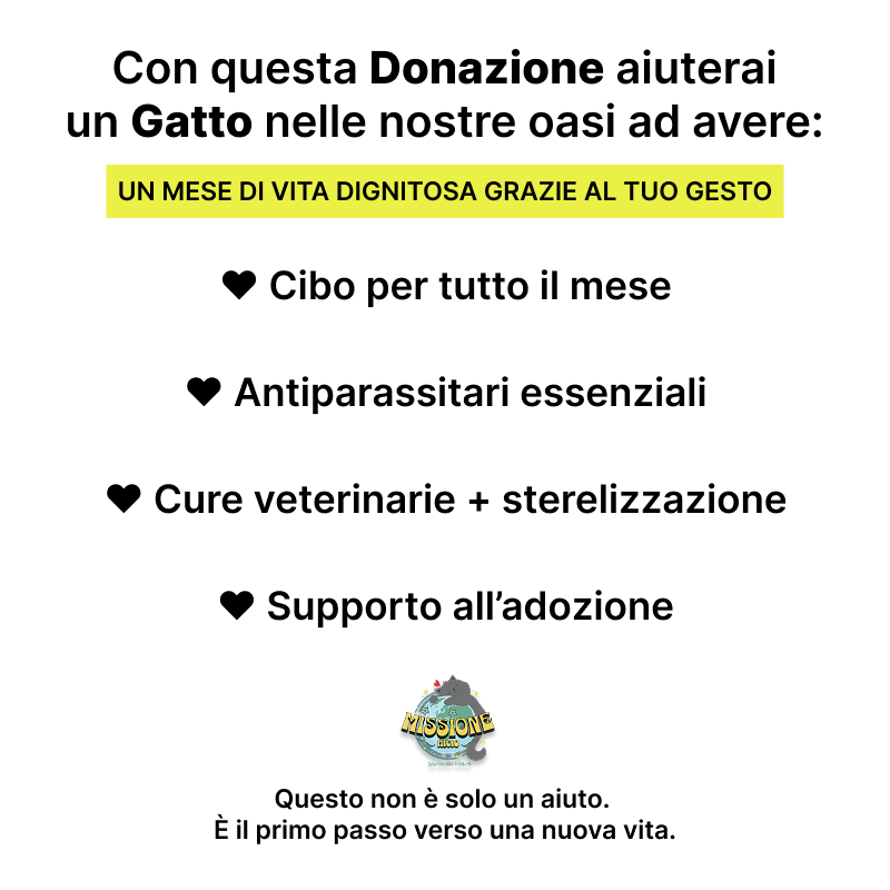 Donazione Card | 80€
