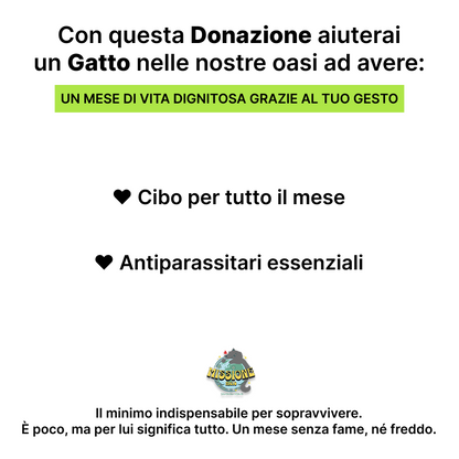 Donazione Card | 30€