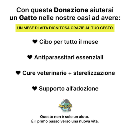 Donazione Card | 80€